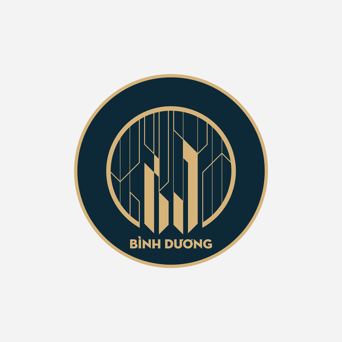 Binh Duong Logo
